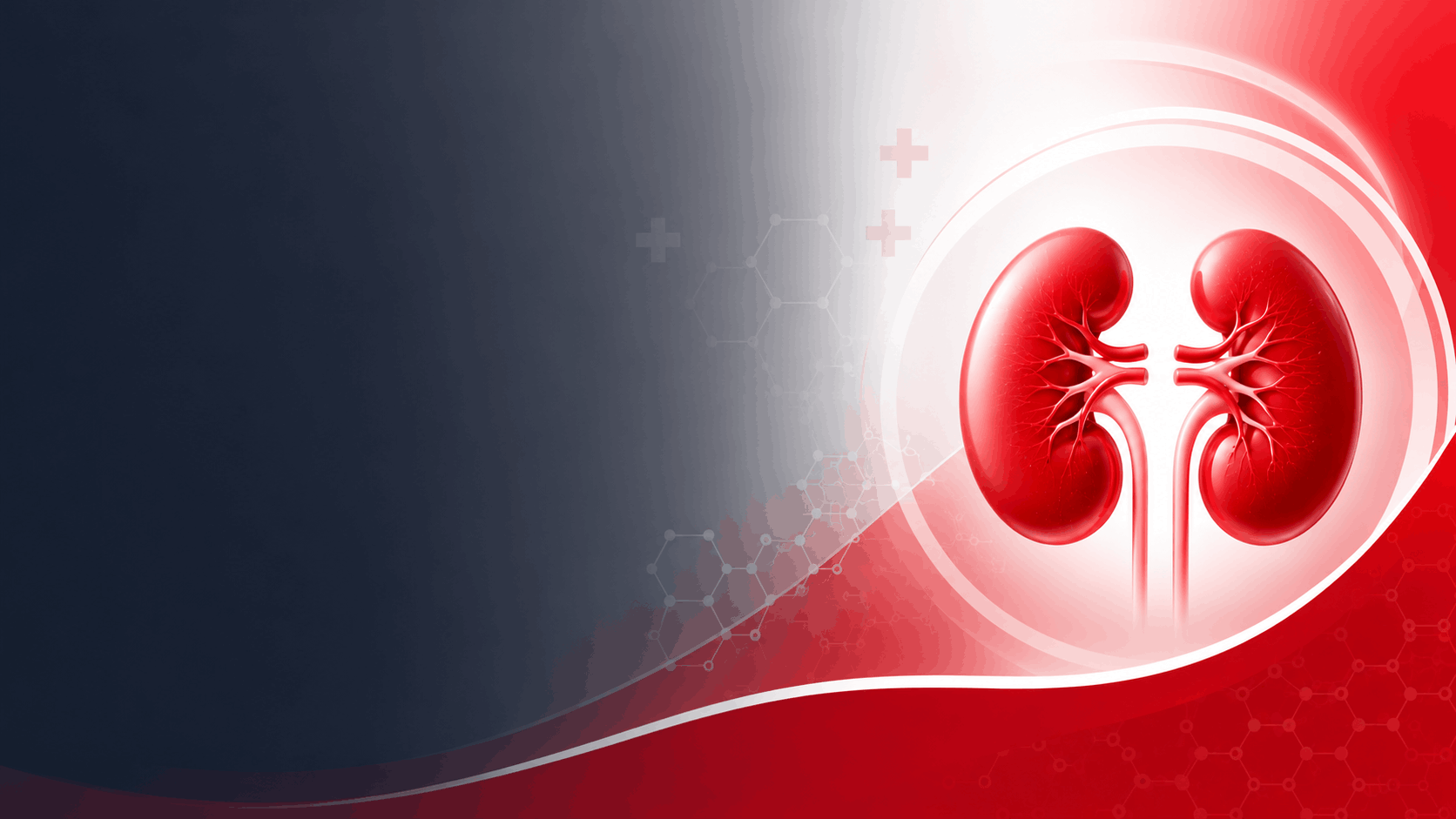 Kidney Care & CKD Management